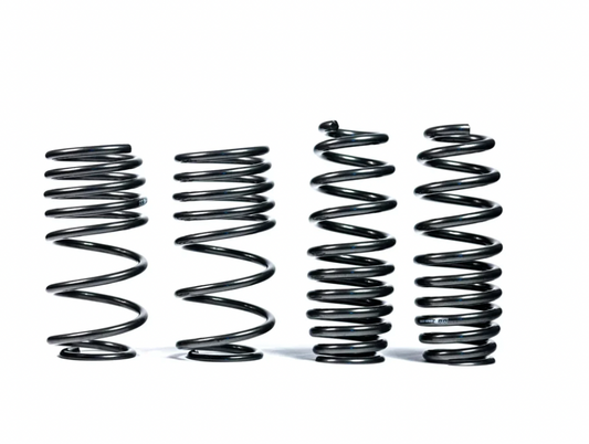 B9/B9.5 A4/S4/A5/S5 Lowering Springs